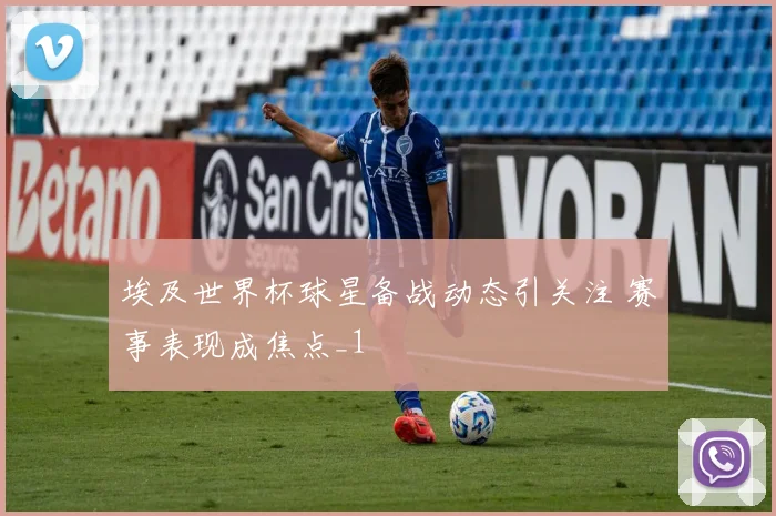 埃及世界杯球星备战动态引关注 赛事表现成焦点_1
