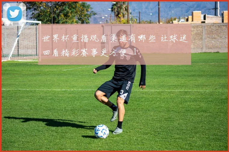 世界杯重播观看渠道有哪些 让球迷回看精彩赛事更方便_1