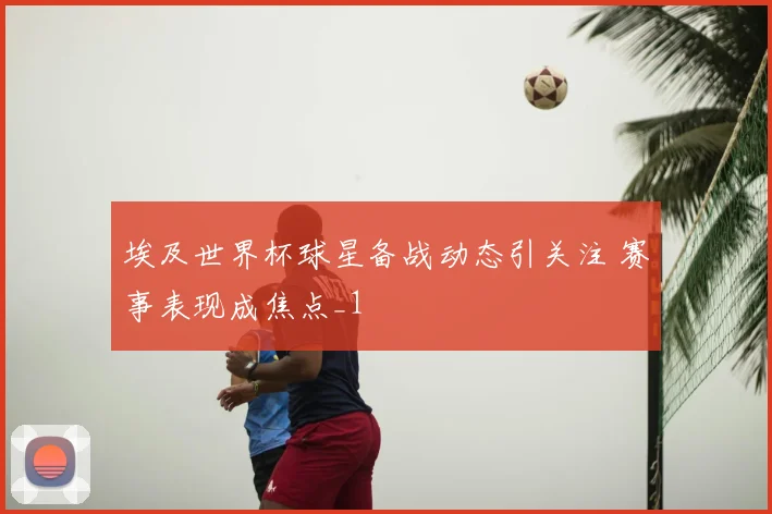埃及世界杯球星备战动态引关注 赛事表现成焦点_1