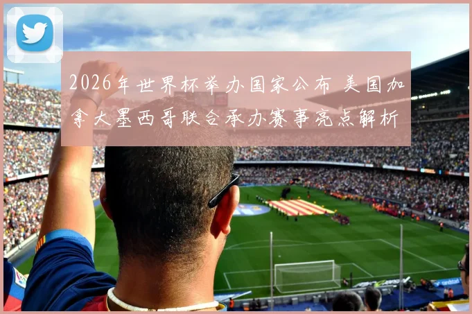 2026年世界杯举办国家公布 美国加拿大墨西哥联合承办赛事亮点解析