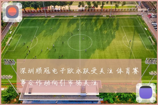 深圳顺冠电子欧永跃受关注 体育赛事合作动向引市场关注