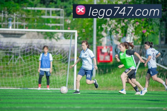 数据防护可视化